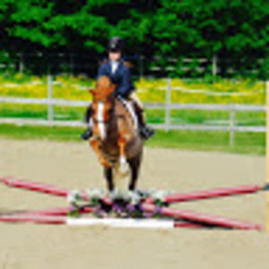 Meet your Posher, Eliza